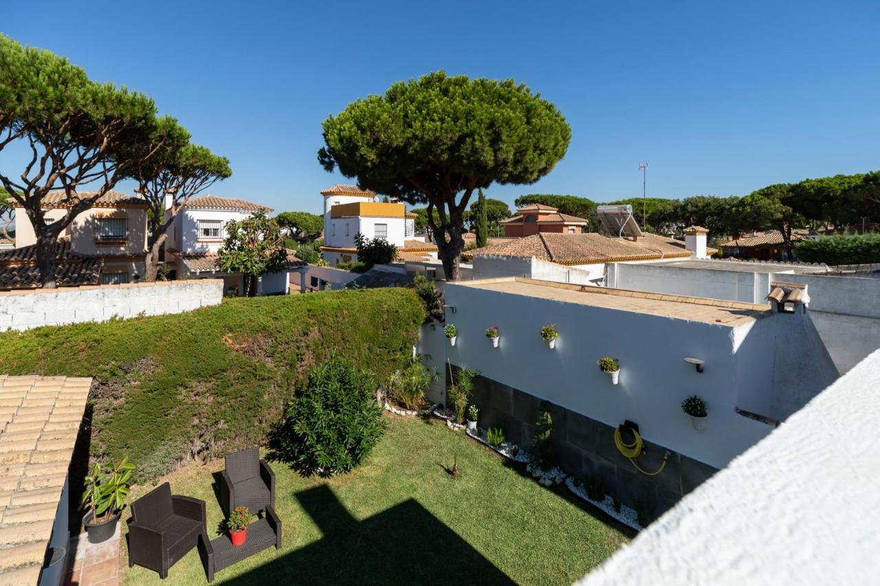 árbol De La Vida - Cerca La Playa Chiclana de la Frontera